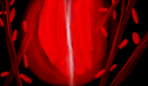 #inktober2016 #fast I guess the light of the leaf grows fast, making the water got fast. Imagination running everywhere(heh, you see what I did there) this was also quick to make.