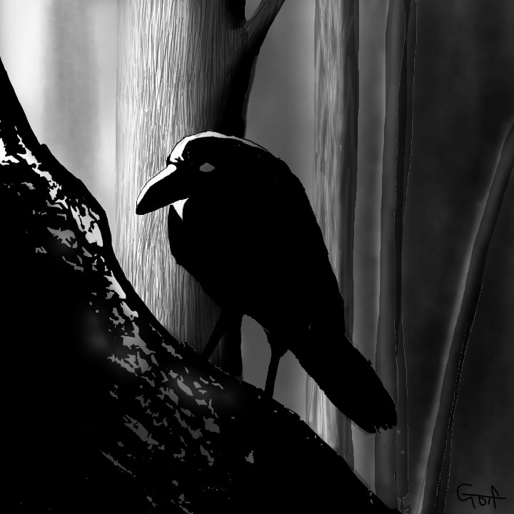 I used only black with different density. 黒にこだわったら…ひとみさんと黒かぶり…気が合いすぎじゃね？(>ω<)（笑）黒だけでと思ってカラス…アイデア貧困〜（笑） #sonysketch #onecolor #fridayswithsketch #myart #100PercentSketch